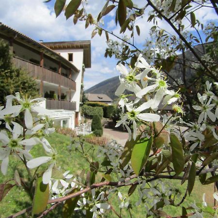 Natur Pur Hotel Unterpichl Ультимо Экстерьер фото