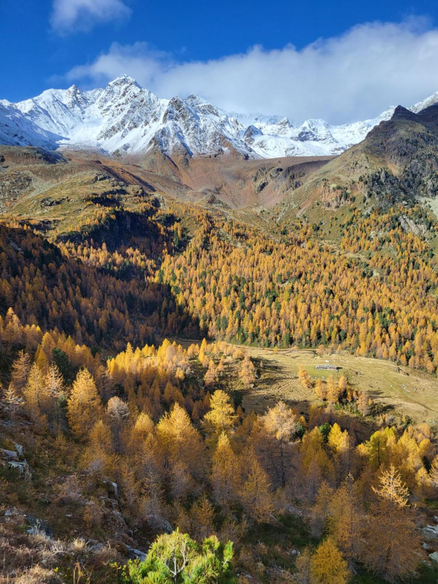 Natur Pur Hotel Unterpichl Ультимо Экстерьер фото